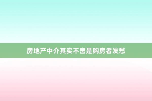 房地产中介其实不啻是购房者发愁