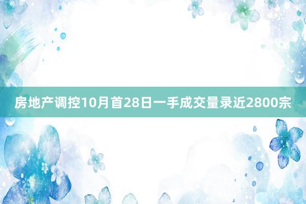 房地产调控10月首28日一手成交量录近2800宗