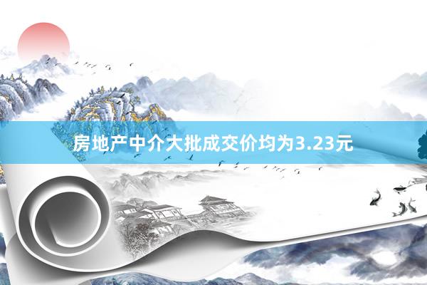 房地产中介大批成交价均为3.23元