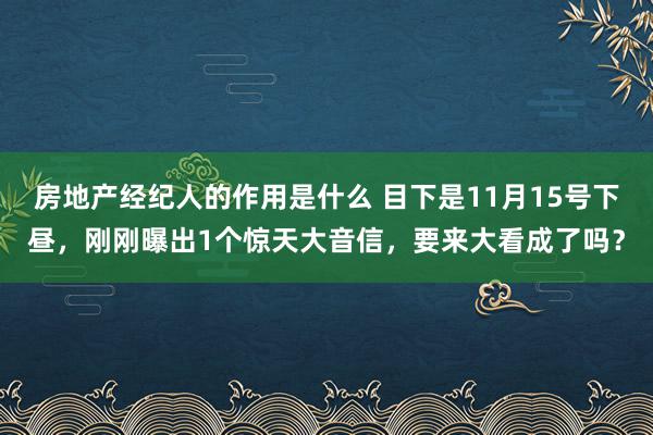 房地产经纪人的作用是什么 目下是11月15号下昼，刚刚曝出1个惊天大音信，要来大看成了吗？