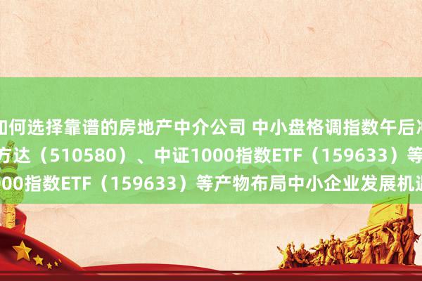 如何选择靠谱的房地产中介公司 中小盘格调指数午后冲高 中证500ETF易方达（510580）、中证1000指数ETF（159633）等产物布局中小企业发展机遇