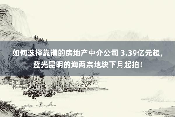 如何选择靠谱的房地产中介公司 3.39亿元起，蓝光昆明的海两宗地块下月起拍！