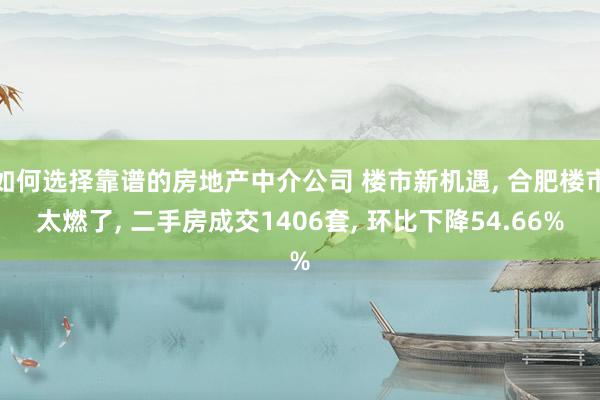 如何选择靠谱的房地产中介公司 楼市新机遇, 合肥楼市太燃了, 二手房成交1406套, 环比下降54.66%