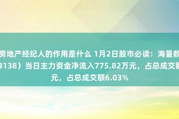 房地产经纪人的作用是什么 1月2日股市必读：海量数据（603138）当日主力资金净流入775.82万元，占总成交额6.03%