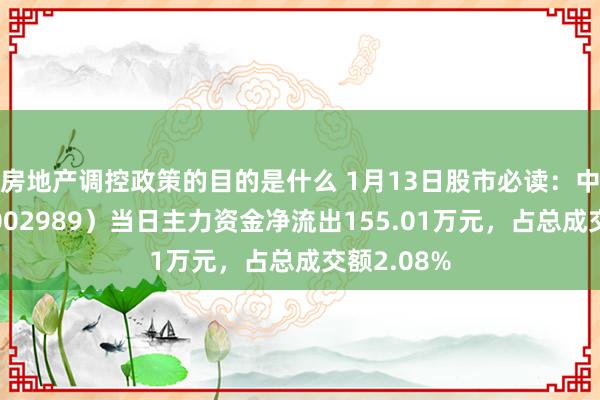 房地产调控政策的目的是什么 1月13日股市必读：中天精装（002989）当日主力资金净流出155.01万元，占总成交额2.08%