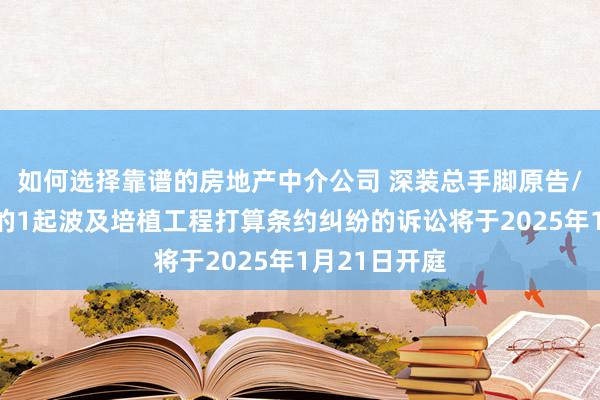 如何选择靠谱的房地产中介公司 深装总手脚原告/上诉东谈主的1起波及培植工程打算条约纠纷的诉讼将于2025年1月21日开庭