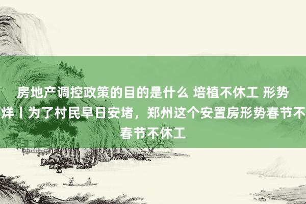 房地产调控政策的目的是什么 培植不休工 形势不打烊丨为了村民早日安堵，郑州这个安置房形势春节不休工