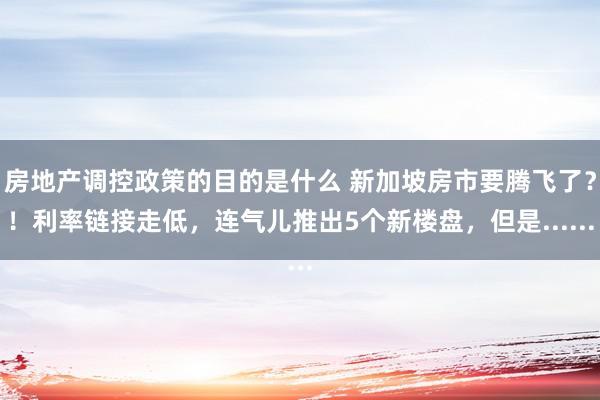 房地产调控政策的目的是什么 新加坡房市要腾飞了？！利率链接走低，连气儿推出5个新楼盘，但是......