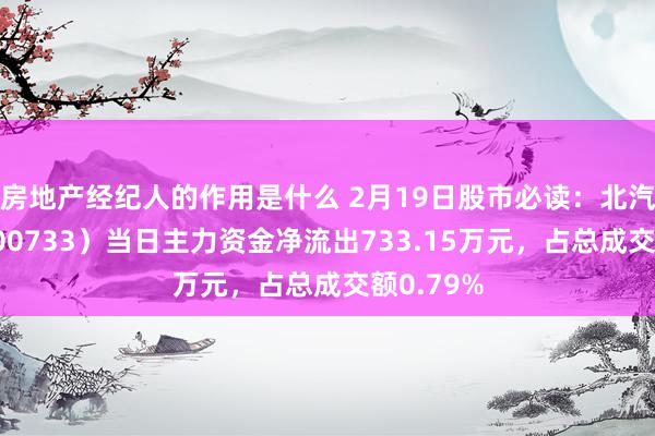 房地产经纪人的作用是什么 2月19日股市必读：北汽蓝谷（600733）当日主力资金净流出733.15万元，占总成交额0.79%