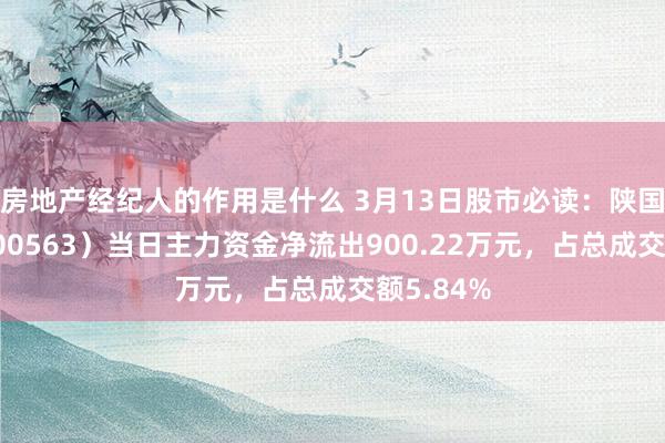 房地产经纪人的作用是什么 3月13日股市必读：陕国投Ａ（000563）当日主力资金净流出900.22万元，占总成交额5.84%