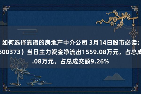 如何选择靠谱的房地产中介公司 3月14日股市必读：汉文传媒（600373）当日主力资金净流出1559.08万元，占总成交额9.26%